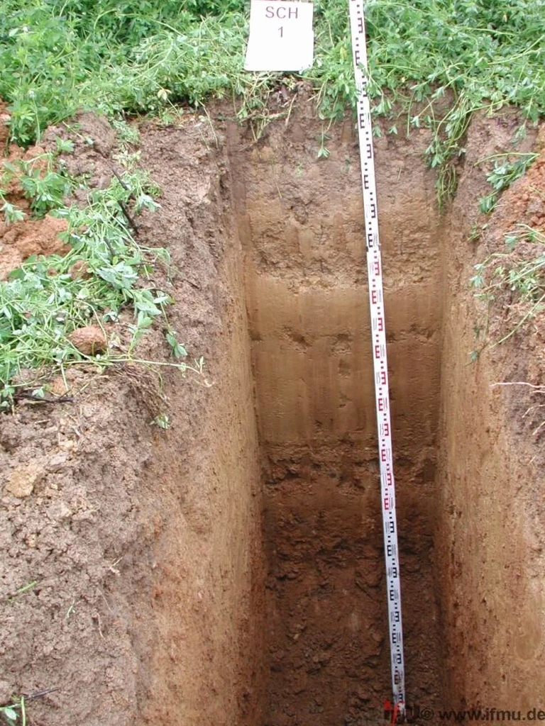 Exploratory Test Pits in Ashford — Fast Stratigraphy Verification Before Construction